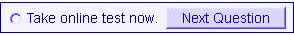 English As a Second Language Online Level Test